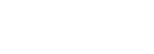 E-Secure E-Secure
