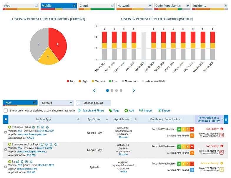 ImmuniWeb On-Demand Screenshot